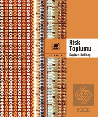 Risk Toplumu