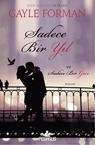 Sadece Bir Yıl ve Sadece Bir Gece