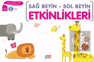 Sağ Beyin - Sol Beyin Etkinlikleri (5 Yaş)