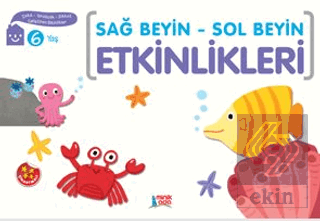 Sağ Beyin - Sol Beyin Etkinlikleri (6 Yaş)