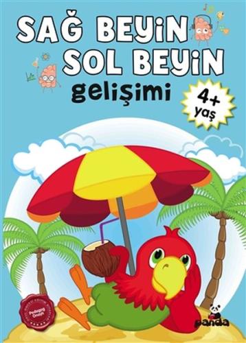 Sağ Beyin - Sol Beyin Gelişimi +4 Yaş