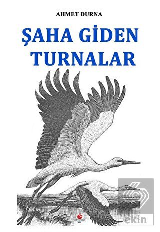 Şaha Giden Turnalar