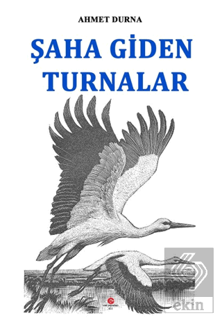 Şaha Giden Turnalar