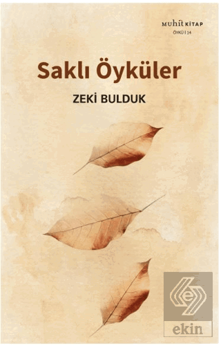 Saklı Öyküler