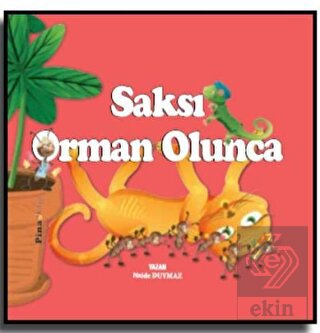 Saksı Orman Olunca