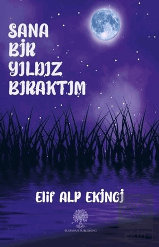 Sana Bir Yıldız Bıraktım