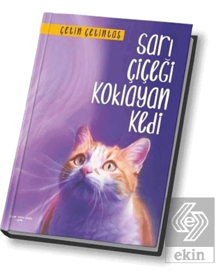 Sarı Çiçeği Koklayan Kedi