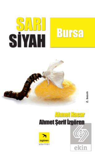 Sarı Siyah Bursa