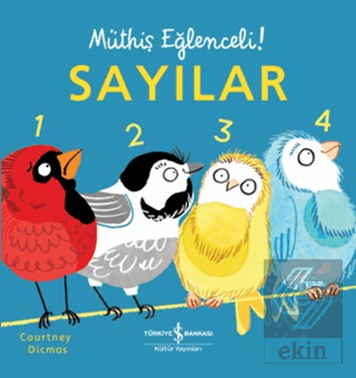 Sayılar - Müthiş Eğlenceli!