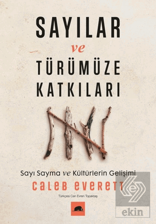 Sayılar ve Türümüze Katkıları