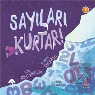 Sayıları Kurtar!