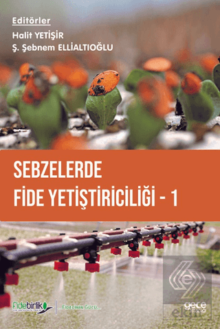 Sebzelerde Fide Yetiştiriciliği 1