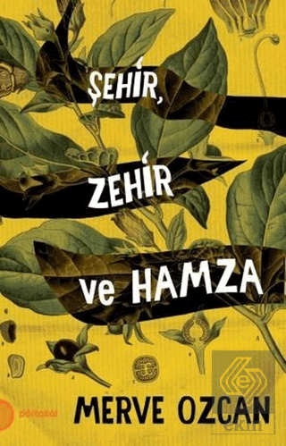 Şehir Zehir ve Hamza