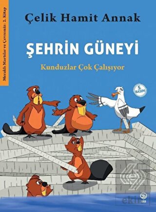 Şehrin Güneyi - Kunduzlar Çok Çalışıyor