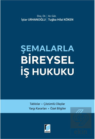 Şemalarla Bireysel İş Hukuku