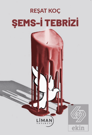 Şems-i Tebrizi