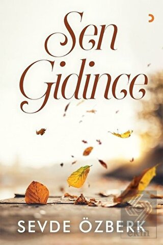 Sen Gidince