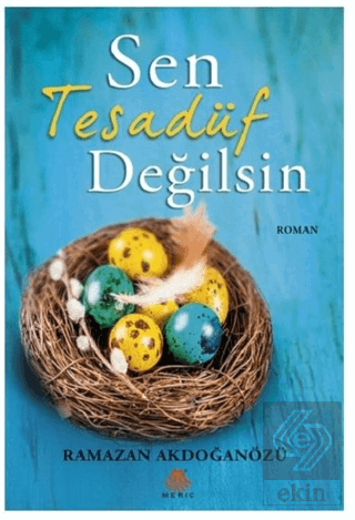 Sen Tesadüf Değilsin