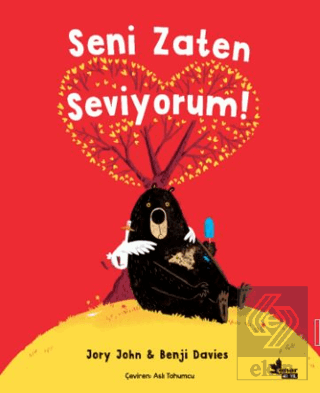 Seni Zaten Seviyorum