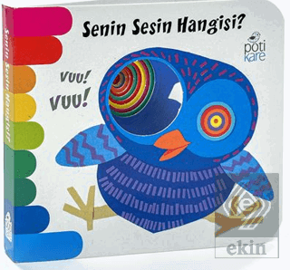 Senin Sesin Hangisi