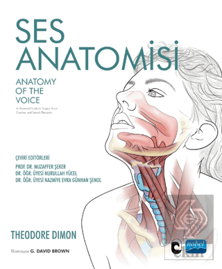 Ses Anatomisi