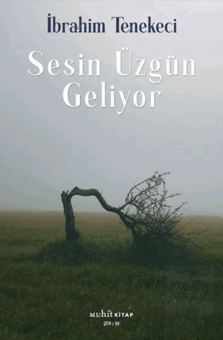 Sesin Üzgün Geliyor