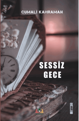 Sessiz Gece