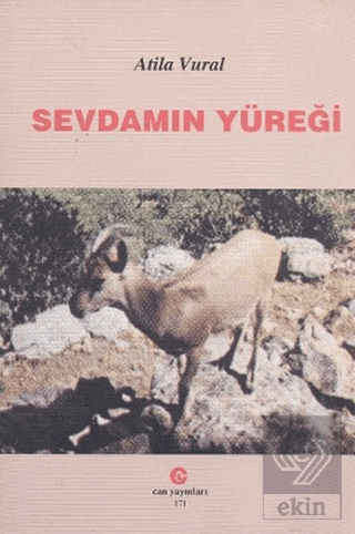 Sevdamın Yüreği