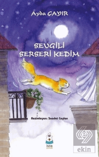 Sevgili Serseri Kedim