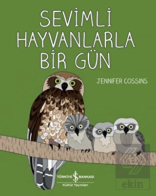 Sevimli Hayvanlarla Bir Gün