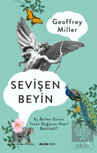 Sevişen Beyin