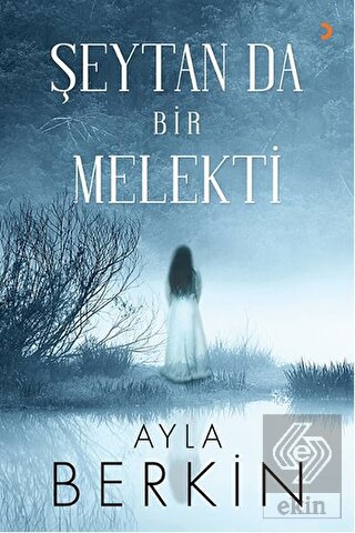 Şeytan da Bir Melekti