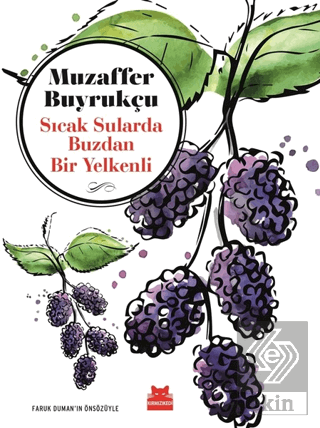 Sıcak Sularda Buzdan Bir Yelkenli