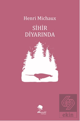 Sihir Diyarında