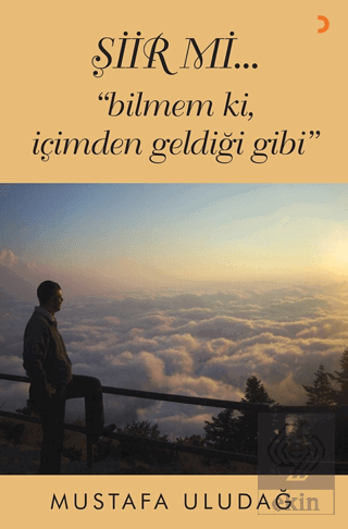 Şiir mi…"bilmem ki, içimden geldiği gibi"