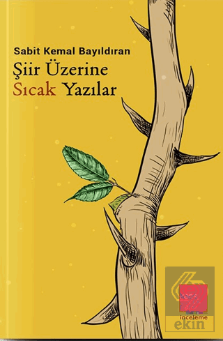 Şiir Üzerine Sıcak Yazılar