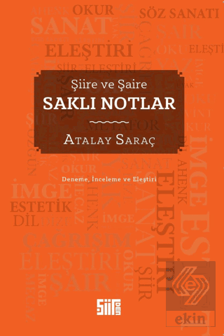 Şiire ve Şaire Saklı Notlar