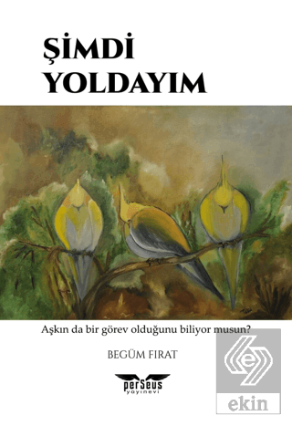 Şimdi Yoldayım