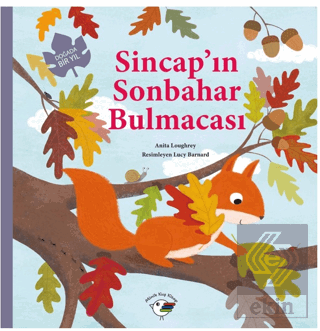 Sincap'ın Sonbahar Bulmacası – Doğada Bir Yıl