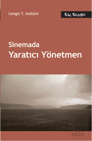 Sinemada Yaratıcı Yönetmen