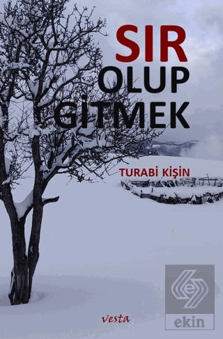 Sır Olup Gitmek