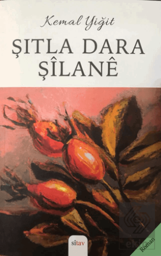 Şıtla Dara Şilane