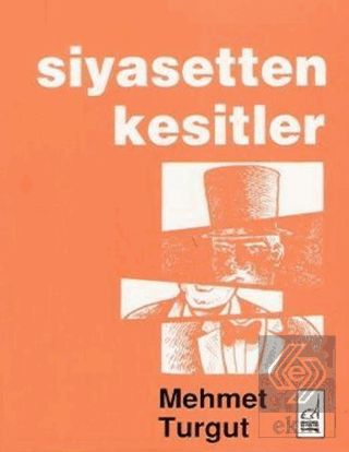 Siyasetten Kesitler