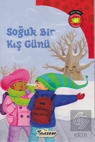 Soğuk Bir Kış Günü