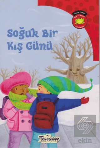 Soğuk Bir Kış Günü