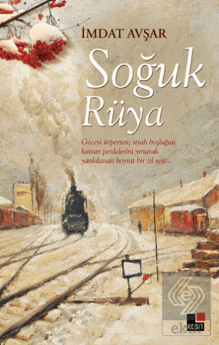 Soğuk Rüya