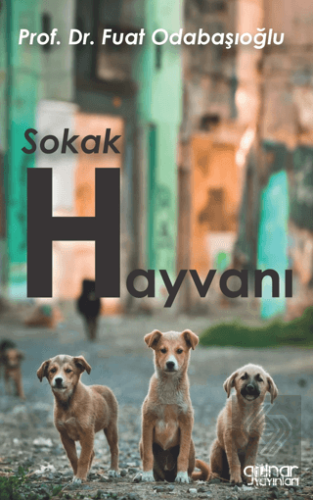 Sokak Hayvanı