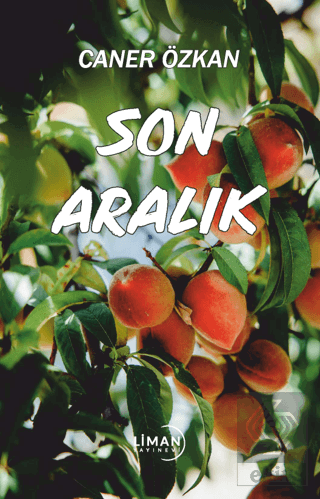 Son Aralık