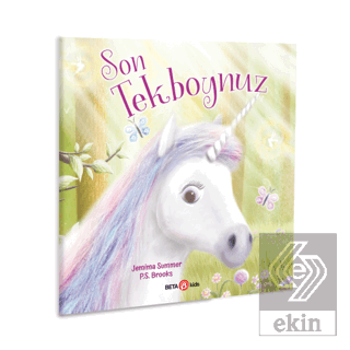 Son Unicorn Tekboynuz