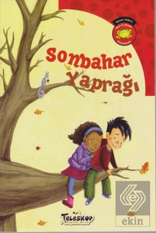 Sonbahar Yaprağı